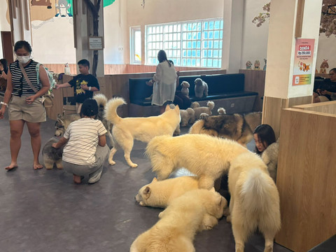 Suasana bermain di area lounge Dogs Ministry di kawasan Penjaringan, Jakarta Utara, Selasa (16/6/2026). Foto: Ryan Iqbal/kumparan