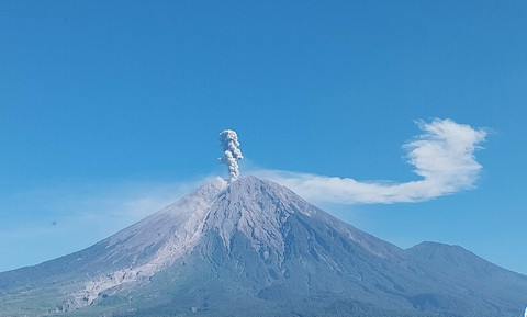 Erupsi Gunung Semeru mengeluarkan abu vulkanik setinggi 1,2 km di atas puncak Rabu (17/6/2026) pagi. Foto: Dok. Pos Pengamatan Gunung Semeru