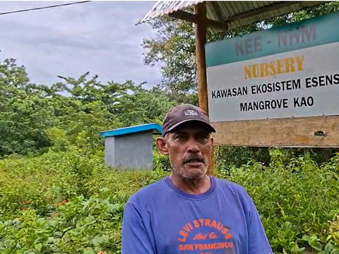 Program mangrove NHM di Desa Kao sukses pulihkan pesisir dengan tingkat keberhasilan 90% setelah 3 tahun berjalan. Foto: Dok. PT NHM