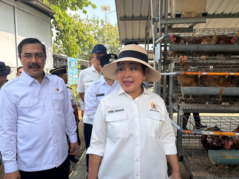 Ketua Komisi IV DPR RI, Titiek Soeharto dan Menteri Imipas, Agus Andrianto saat meninjau peternakan ayam petelur di Pulau Nusakambangan, Cilacap, Jawa Tengah, Sabtu (20/6/2026). Foto: Ryan Iqbal/kumparan