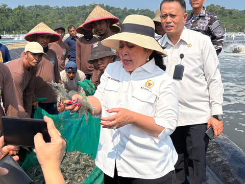 Ketua Komisi IV DPR RI, Titiek Soeharto dan Menteri Imipas, Agus Andrianto saat meninjau budidaya udang vaname oleh narapidana di Pulau Nusakambangan, Cilacap, Jawa Tengah, Sabtu (20/6/2026). Foto: Ryan Iqbal/kumparan
