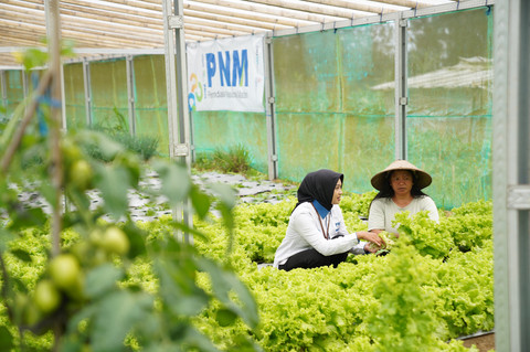 Petugas PNM dalam memberdayakan usaha dan meningkatkan ekonomi nasabah secara berkelanjutan. Foto: Dok. PNM