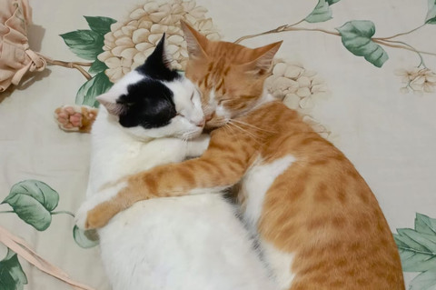 Foto berasal dari dokumen pribadi penulis.