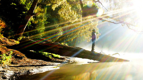 Sinar mentari pagi di ranu Kumbolo. Foto: Bima S.