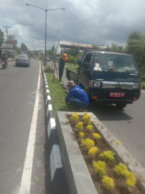 Tanaman hias di jalan menuju Stadion Maguwoharjo, Kabupaten Sleman yang hilang dicuri. Foto: Dok. DLH Sleman
