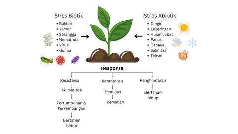 Gambar 1. Berbagai bentuk cekaman (stres) biotik dan abiotik yang dialami tumbuhan dan bagaimana tumbuhan berespon (sumber: koleksi pibadi)