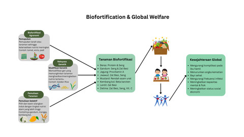 Gambar 2. Peran biofortifikasi bagi kesejahteraan global (sumber: koleksi pribadi).