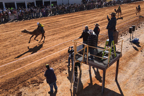 Para pembalap unta bersaing ketat dalam ajang Marree Australasian Camel Cup yang digelar di kota pedalaman Marree, Australia Selatan, Sabtu (27/6/2026). Foto: William West/AFP