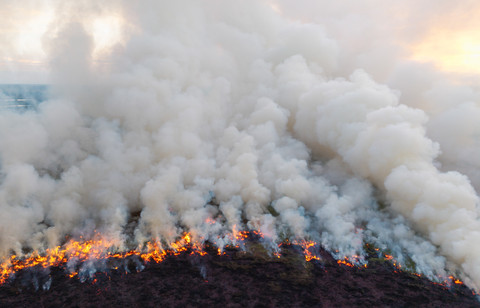 Foto udara api membakar lahan di Desa Sungai Rambutan, Indralaya Utara, Ogan Ilir (OI), Sumatera Selatan, Sabtu (27/6/2026). Foto: Nova Wahyudi/ANTARA FOTO