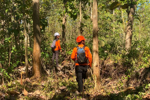 Petugas SAR Yogyakarta mengevakuasi jenazah Mbah Bajiyo yang ditemukan meninggal dunia di Hutan Selorejo, Gunungkidul, Selasa (30/6/2026). Foto: Kantor SAR Yogyakarta