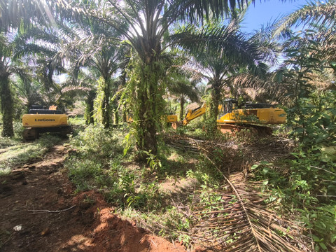 Kavling tanah yang disita Kejagung terkait kasus dugaan korupsi izin usaha pertambangan di Kalimantan Barat oleh tersangka Sudianto alias Aseng. Foto: Dok. Kejagung