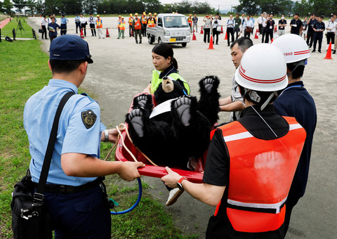 Para peserta membawa boneka beruang yang mewakili beruang yang ditembak oleh pemburu selama latihan tanggap darurat yang mensimulasikan serangan beruang, di Isehara, Prefektur Kanagawa, Jepang, 3 Juli 2026. Foto: REUTERS/Kim Kyung-Hoon