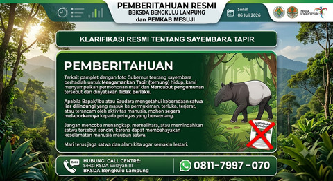 Pemerintah Kabupaten Mesuji mencabut pengumuman sayembara berhadiah Rp50 juta untuk penangkapan tapir (trenung) dalam kondisi hidup yang sebelumnya ramai beredar di media sosial. Foto: Dok. Istimewa