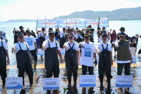 Perkuat ketahanan pesisir, Freeport dan Kementerian Lingkungan Hidup tanam 1,5 juta bibit mangrove di Nusa Tenggara Barat, Rabu (8/7/2026). Foto: Dok. Freeport Indonesia