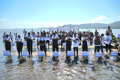 Perkuat ketahanan pesisir, Freeport dan Kementerian Lingkungan Hidup tanam 1,5 juta bibit mangrove di Nusa Tenggara Barat, Rabu (8/7/2026). Foto: Dok. Freeport Indonesia