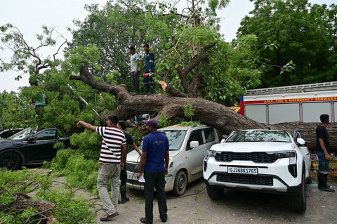 Petugas dinas pemadam kebakaran setempat membersihkan pohon tumbang dari area parkir kendaraan setelah hujan deras di pasar Lal Darwaja di Ahmedabad, India, Rabu (8/7/2026). Foto: SHAMMI MEHRA/AFP