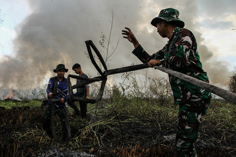 Prajuit TNI dan petugas pemadam kebakaran Dinas Kehutanan Kalteng menggulung slang saat pemadaman kebakaran lahan gambut di Kelurahan Bukit Tunggal, Palangka Raya, Kalimantan Tengah, Minggu (12/7/2026). Foto: Auliya Rahman/ANTARA FOTO