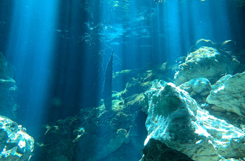 Ilustrasi palung gelap bawah laut. Sumber: pexels.com