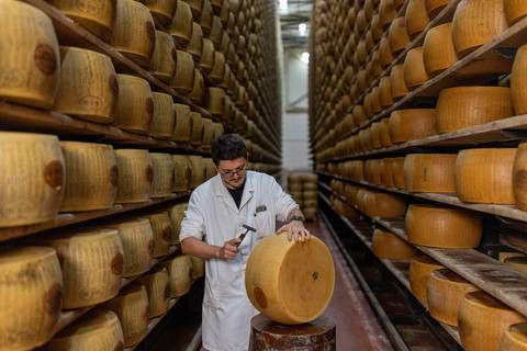 Seorang penilai mendengarkan suara retakan internal selama pemeriksaan kualitas di ruang penyimpanan keju di Montecavolo di Quattro Castella, Italia, 6 Juli 2026. Foto: REUTERS/Matteo Minnella