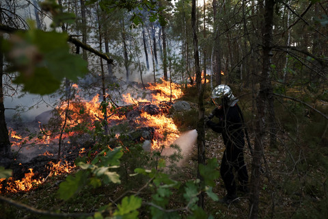 Seorang petugas pemadam kebakaran berupaya memadamkan kobaran api di hutan Fontainebleau saat kebakaran hutan melanda Noisy-sur-Ecole, dekat Paris, Prancis, Senin (13/7/2026). Foto: Stephane Mahe/REUTERS