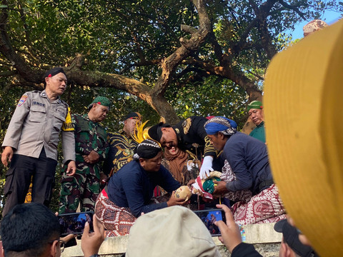 Prosesi penyembelihan pengantin bekakak dalam upacara adat Saparan Bekakak di Ambarketawang, Gamping, Sleman, Jumat (17/7). Foto: Pandangan Jogja/Resti Damayanti