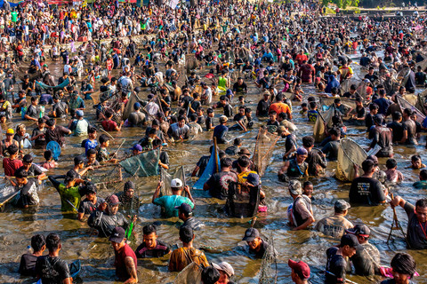Warga menangkap ikan di kolam selama tradisi 'memet ikan' di Kecamatan Kalikotes, Klaten, Jawa Tengah, Minggu (19/7/2026). Foto: Devi Rahman/AFP