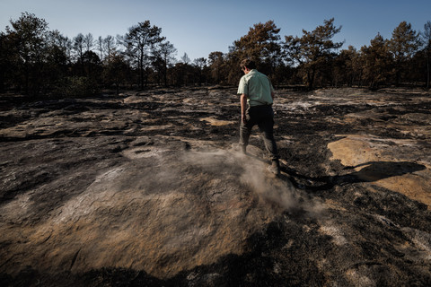 Thomas Legout dari Kantor Hutan Nasional (ONF) berjalan di area yang terbakar pascakebakaran di Hutan Fontainebleau, Noisy-sur-Ecole, Prancis, Selasa (21/7/2026). Kebakaran diduga dipicu aksi pembakaran sengaja oleh oknum petugas pemadam kebakaran. Foto: Simon Wohlfahrt/AFP