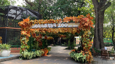 Suasana Kebun Binatang Surabaya (KBS), Kamis (23/7/2026). Foto: Farusma Okta Verdian/kumparan