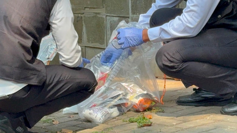 Tim Laboratorium Forensik (Labfor) Bareskrim Polri melakukan olah tempat kejadian perkara (TKP) di Mordent Clinic, Jakarta Selatan, Senin (27/7/2026). Foto: Rayyan Farhansyah/kumparan