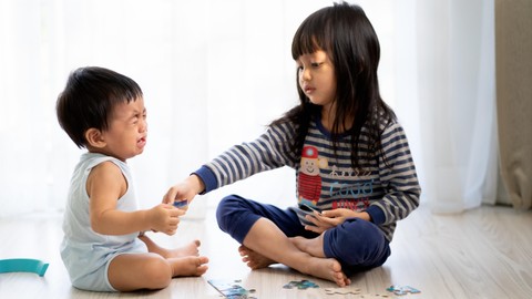 Ilustrasi anak rebutan mainan. Foto: SUKJAI PHOTO/Shutterstock