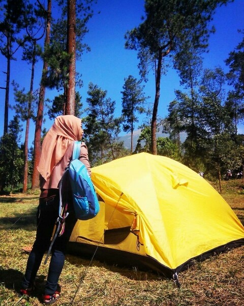 Menilik Pesona Alam Ngadirejo Kumparan Com