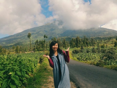 Menilik Pesona Alam Ngadirejo Kumparan Com