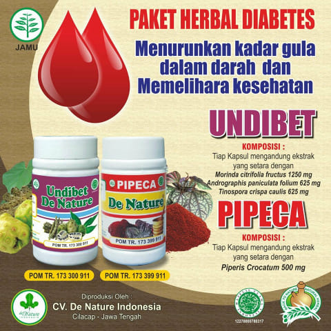 Harga Dan Nama Obat Gula Darah Manjur Alami Denature Di Google