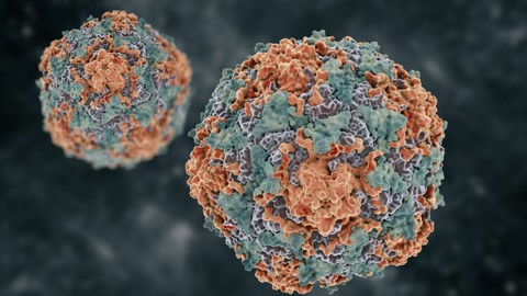 Ilustrasi virus herpes simiae atau virus B. Foto: vitstudio/Shutterstock