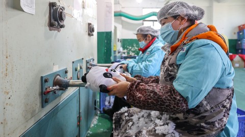 Pekerja sibuk mengerjakan boneka maskot Olimpiade Musim Dingin Beijing 2022, Bing Dwen Dwen di pabrik yang terletak di Jinjiang provinsi Fujian timur China. Foto: STR/AFP
