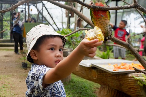 empat wisata Lembang Park & Zoo. Foto: calvin chandra/shutterstock