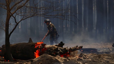 7 Ribu Hektare Hutan di Argentina Hangus Terbakar