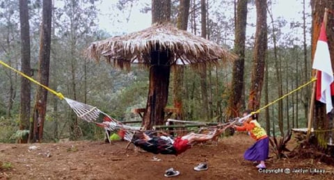 Hutan Pinus Cikole Pal 16 Rekomendasi Wisata Di Bandung Kumparan Com