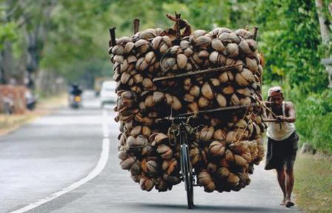 Muslim Pekerja Keras Dicintai Dan Dibanggakan Rasulullah Kumparan Com