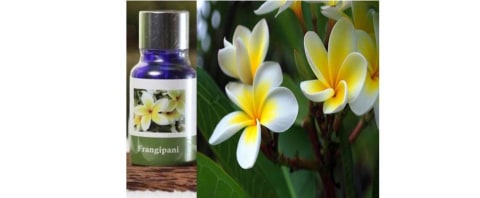 5 Minyak Atsiri Dengan Harga Selangit Kumparan Com