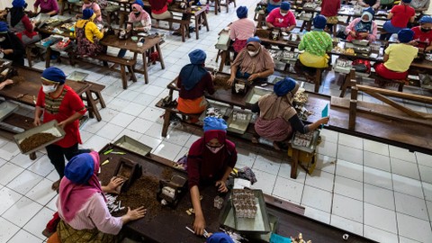 Pekerja menyortir rokok Sigaret Kretek Tangan (SKT) di pabrik rokok PT Praoe Lajar yang menempati bekas kantor perusahaan listrik swasta Belanda NV Maintz & Co, di kawasan Cagar Budaya Nasional Kota Lama Semarang, Jawa Tengah, Kamis (24/2/2022).  Foto: Aji Styawan/ANTARA FOTO