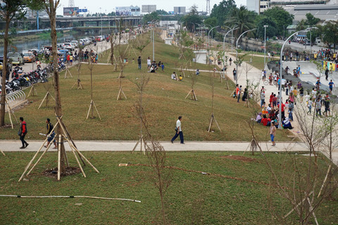 Rerumput hijau di Kalijodo. Foto: Aditia Noviansyah/kumparan