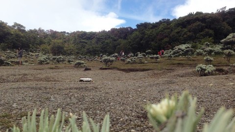 Gunung Gede Pangrango Foto: Instagram/@mhmdazmiazis