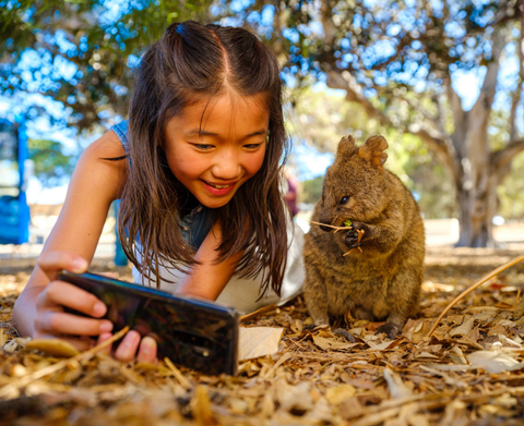 Wisatawan selfie dengan Quokka, mamalia yang sering dijumpai di Rottnest Island  Foto: dok Tourism Western Australia