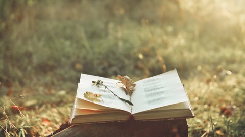 Ilustrasi buku puisi. Foto: Shutter Stock