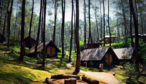 Tinggal Sungguhan Dalam Rumah Hobbit Bandung Apa Bisa Kumparan Com