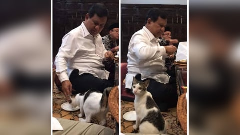 Prabowo Subianto memberi makan kucing Foto: Instagram @prabowomenyapa