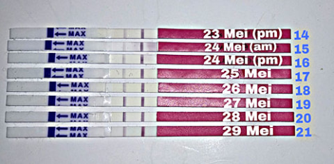 Meningkatkan Peluang Kehamilan Dengan Menggunakan Ovulation Test Kumparan Com