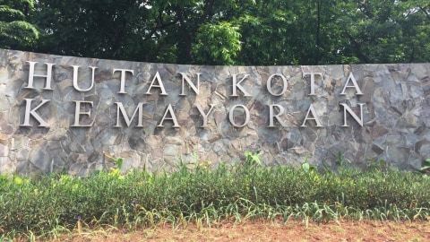 Hutan Kota Kemayoran. Foto: Muhammad Darisman/kumparan