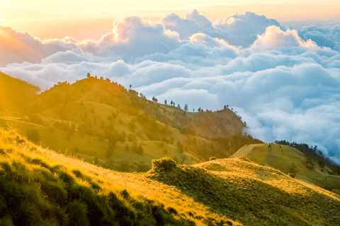 Ilustrasi pendakian Gunung Rinjani, Lombok. Foto: Shutter Stock